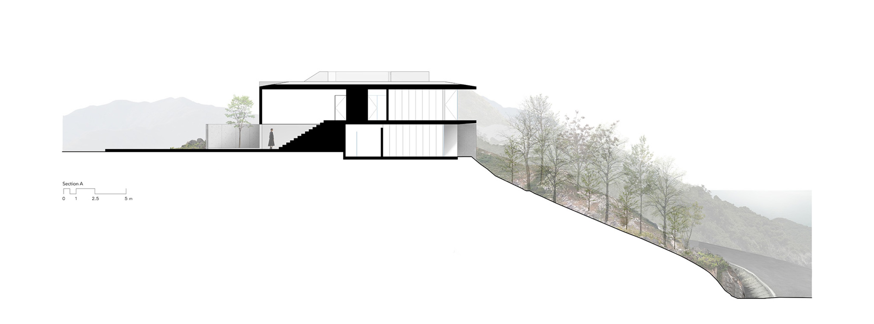 Section. Malonic House by HW Studio.