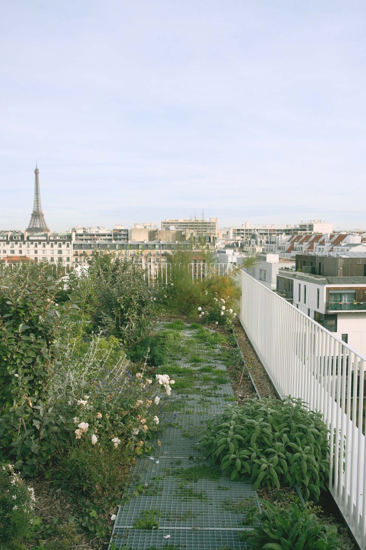 Residencia de estudiantes Lourmel por MARS Architectes. Fotografía por Raphael Renard.