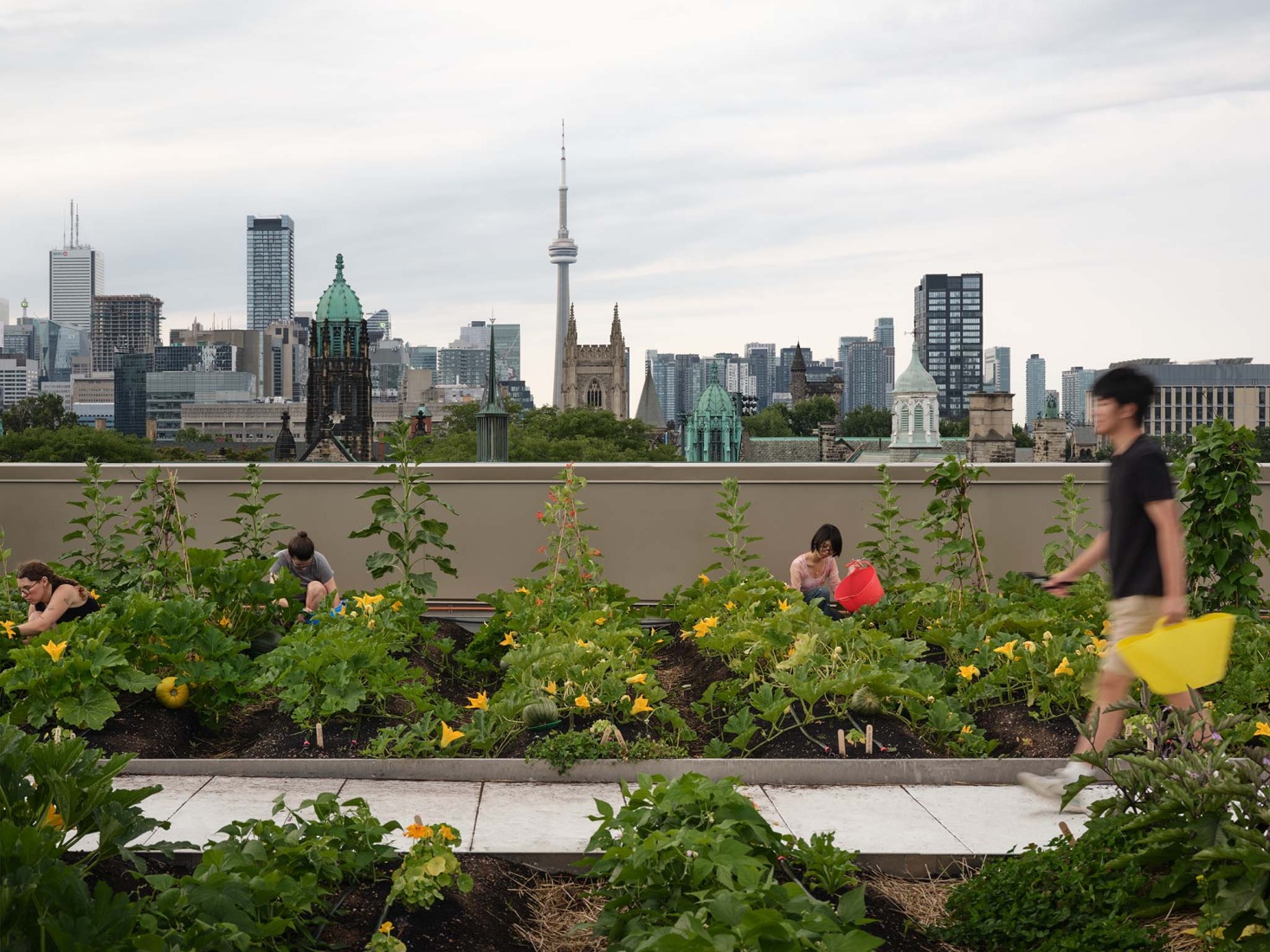 Trinity College Lawson Centre for Sustainability by Mecanoo + RDHA. Photograph by Doublespace Photography.