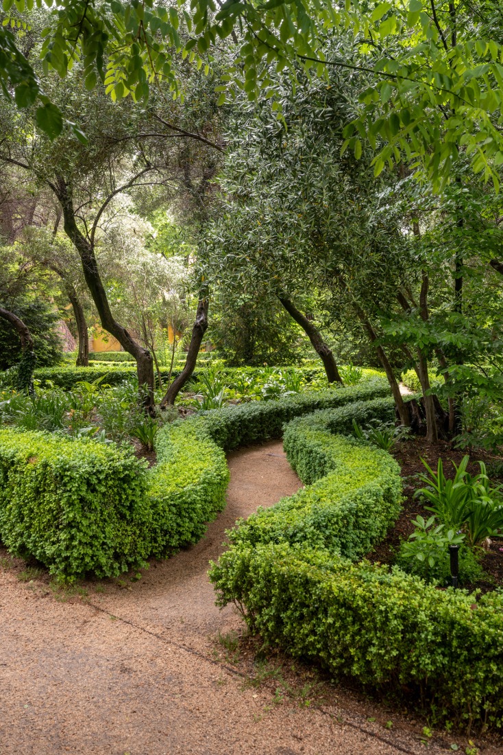 Restoration of the gardens of the Vista Alegre Estate by Mónica Alberola. Photograph by Luis Asín.