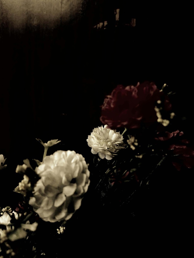 Botanical Silence by Oviul Maruf. Photograph by Oviul Maruf.