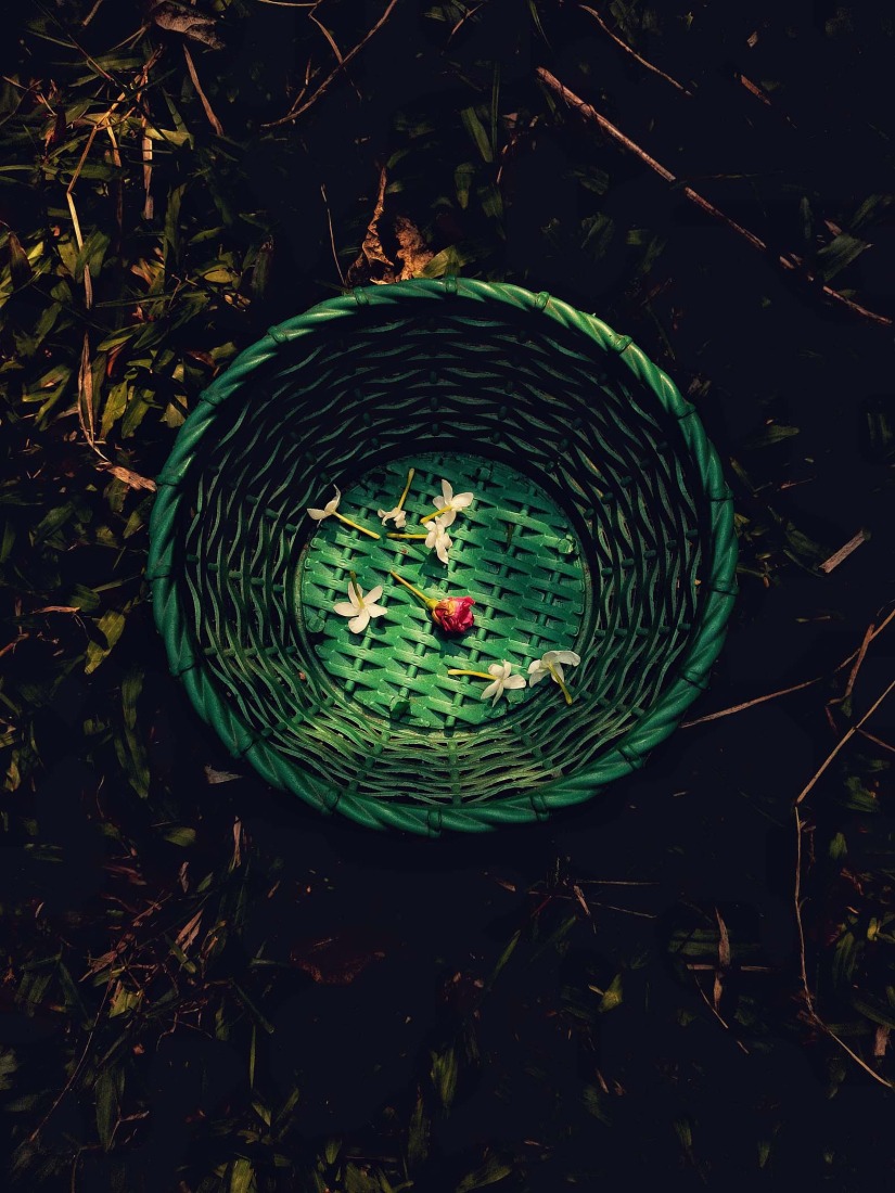 Botanical Silence by Oviul Maruf. Photograph by Oviul Maruf.
