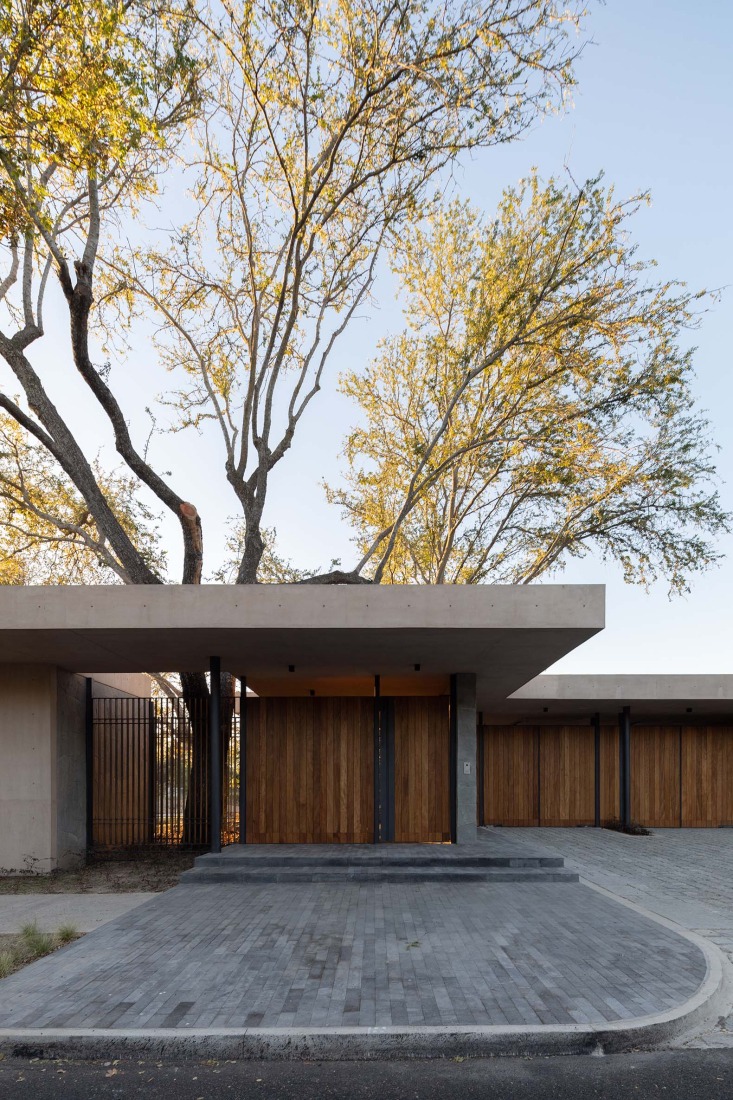 Detail of the façade and Guamúchil tree. Bosquet by Perimetral + AE Arquitectos. Photograph by Jesús López Cinco.