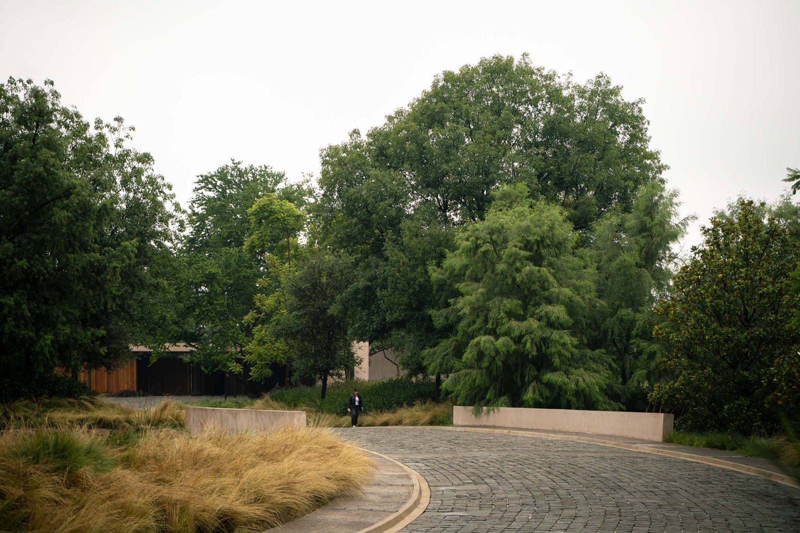 Entrance to the development. Bosquet by Perimetral + AE Arquitectos. Photograph by Jesús López Cinco.