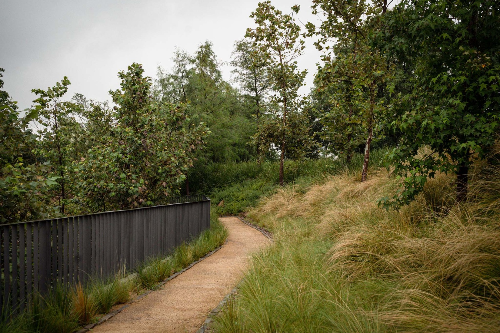 Pedestrian path immersed in vegetation. Bosquet by Perimetral + AE Arquitectos. Photograph by Jesús López Cinco.