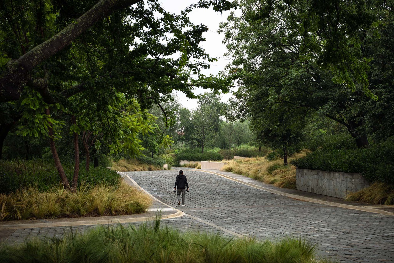 Landscape design with graphic scale. Bosquet by Perimetral + AE Arquitectos. Photograph by Jesús López Cinco.