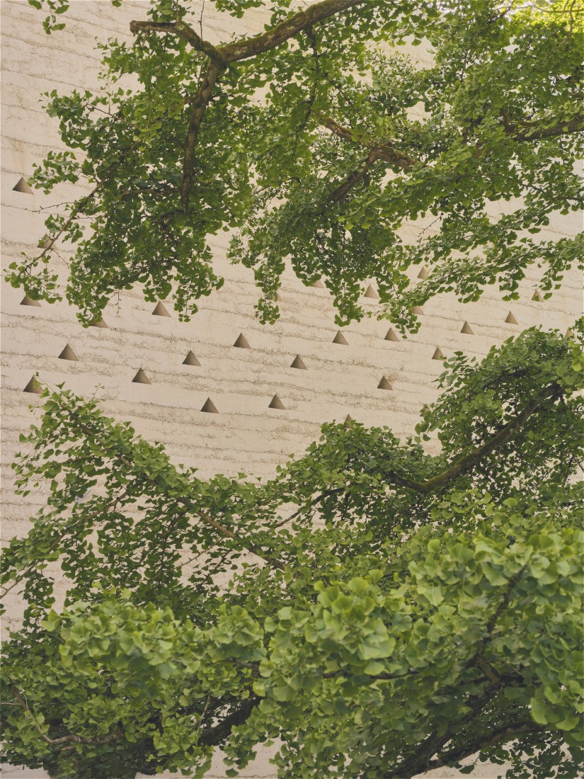 El conjunto ampliado de la Fondation Beyeler, Museo Wyss por Atelier Peter Zumthor. Fotografía por Mark Niedermann.
