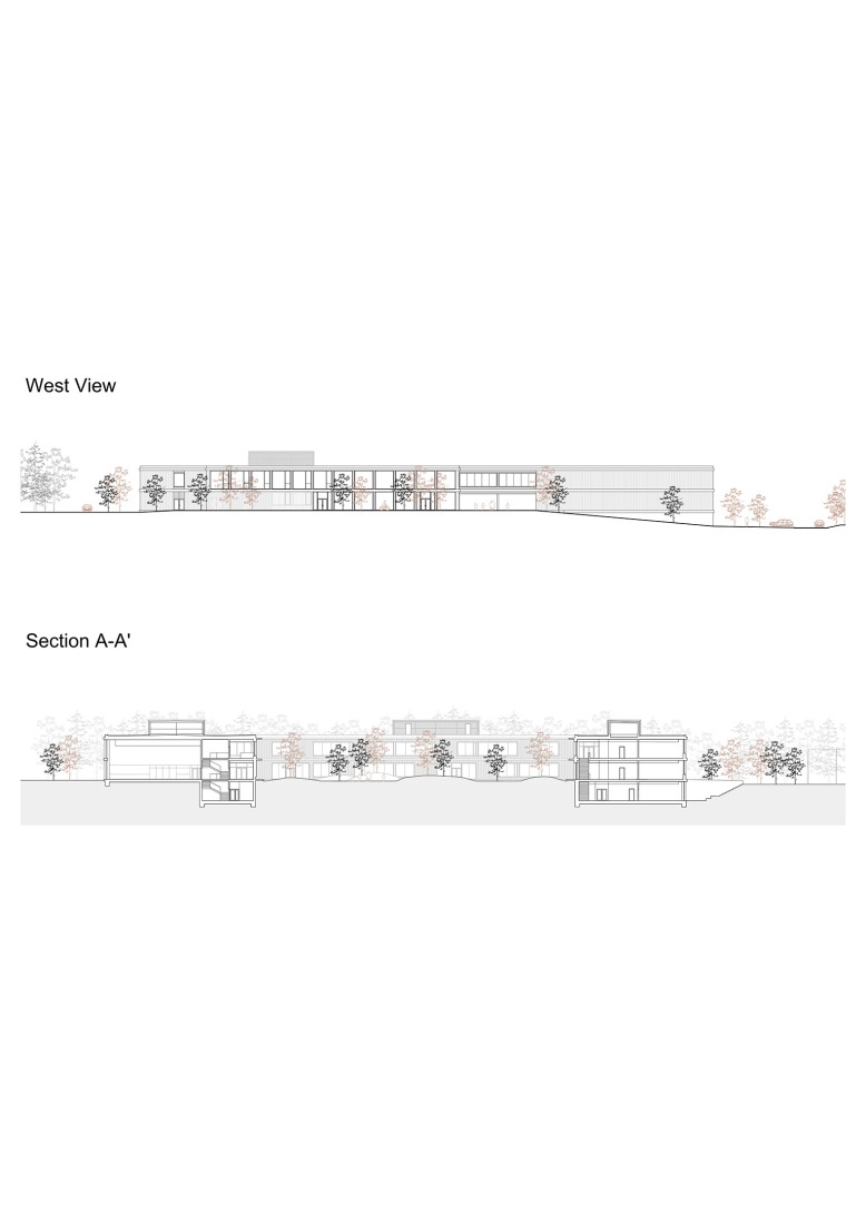 Secciones. Escuela Primaria LOŠBATES por Pelletier de Fontenay + SOA architects.