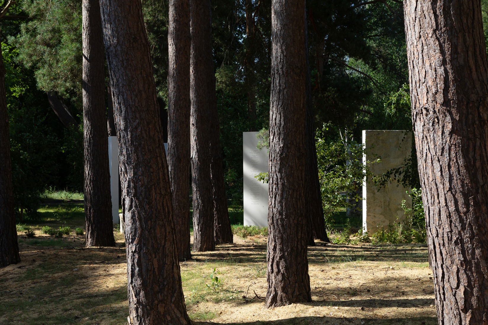 Brookwood Cemetery Memorial by Studio Wignall & Moore. Photograph by Agnese Sanvito.