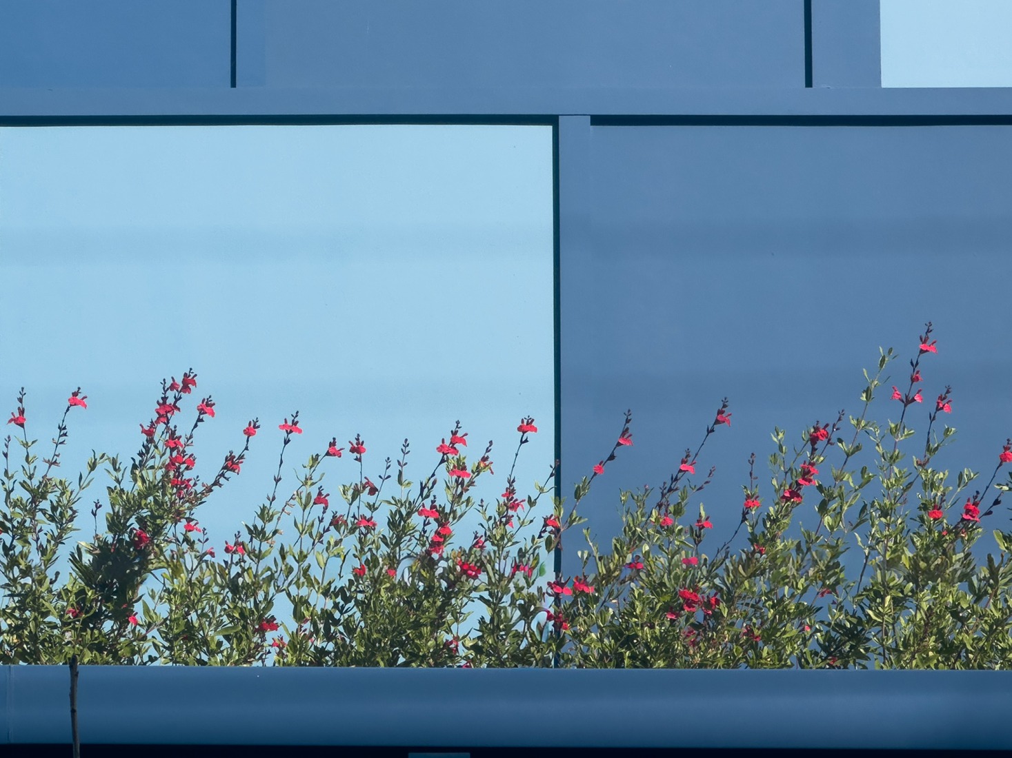 Berkeley Station by Brooks + Scarpa. Photograph by TBD.