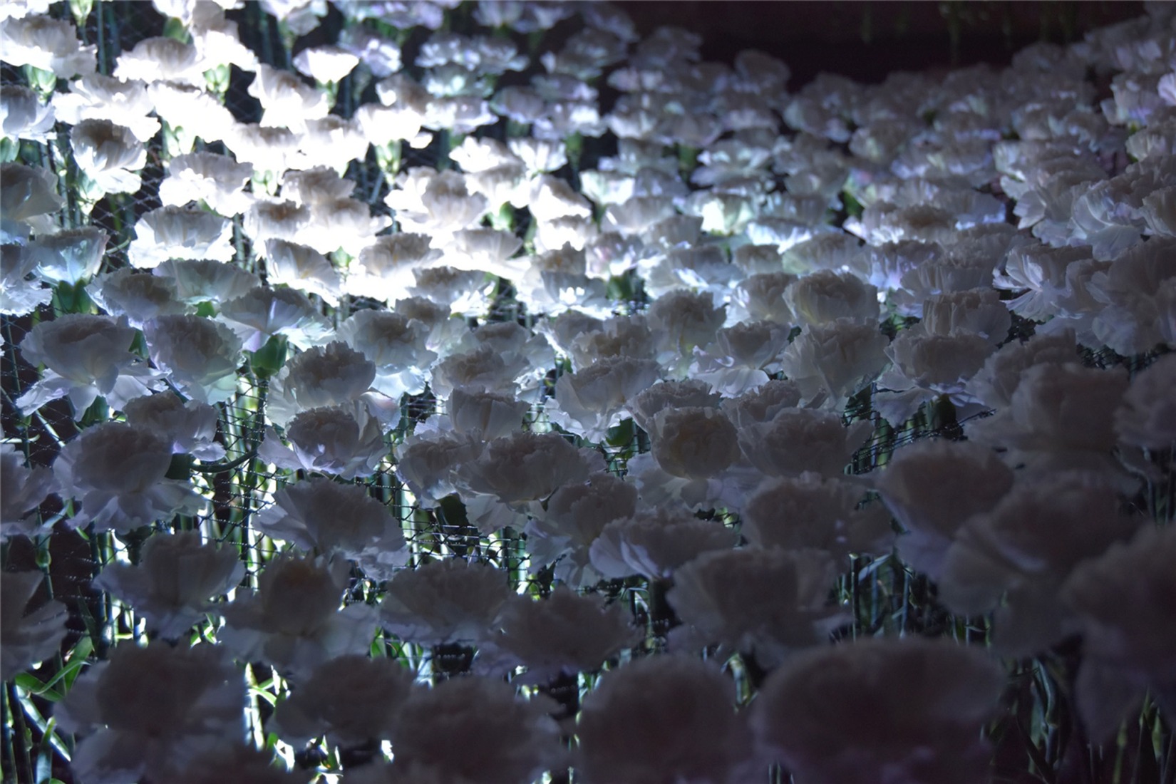 Jardins del Temps by Pau Garrofé Montoliu, Martina Blázquez Polaina, Guillem Hernández Camarasa, Karine Bagdasaryan, Diego Lahoz Rodríguez, and Juan Torres Prats.