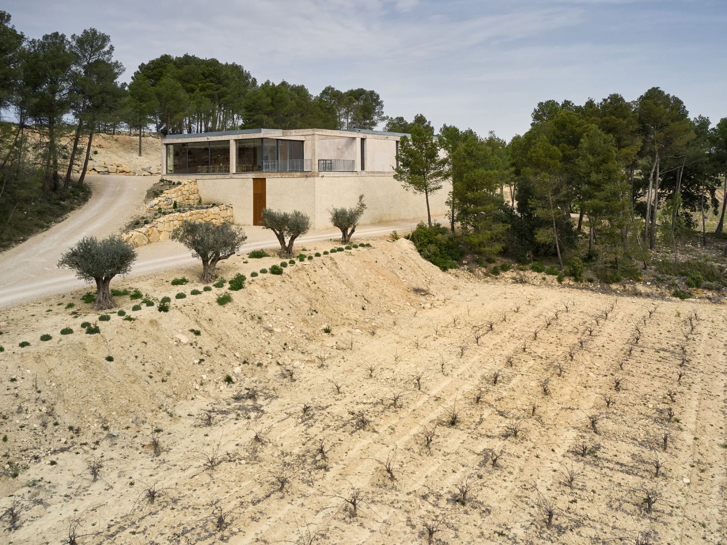 Bodega Novos by García Floquet arquitectos. Photograph by Iñaki Bergera.