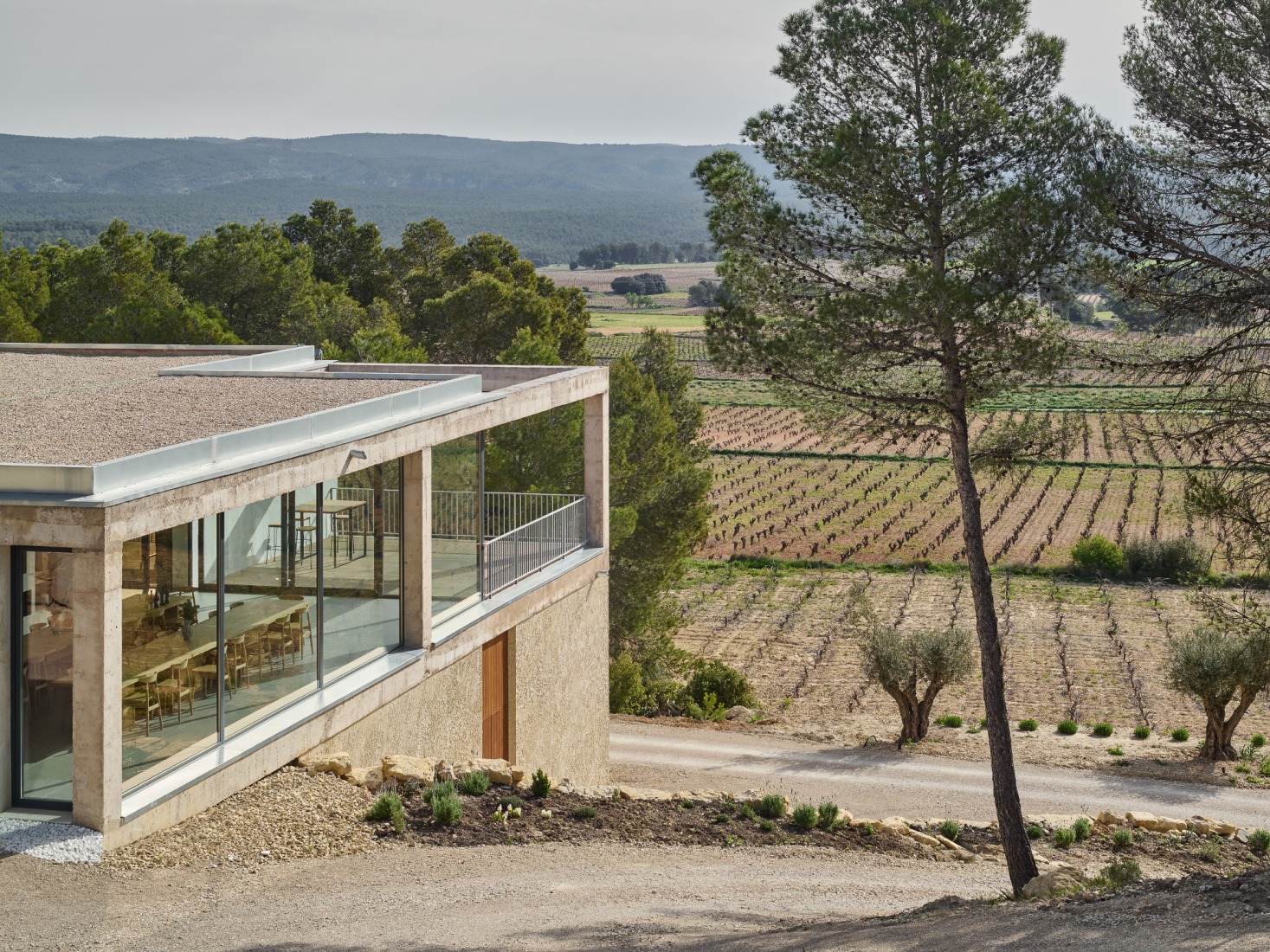 Bodega Novos by García Floquet arquitectos. Photograph by Iñaki Bergera.
