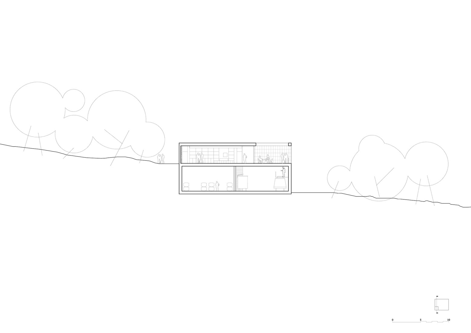 Section. Bodega Novos by García Floquet arquitectos.