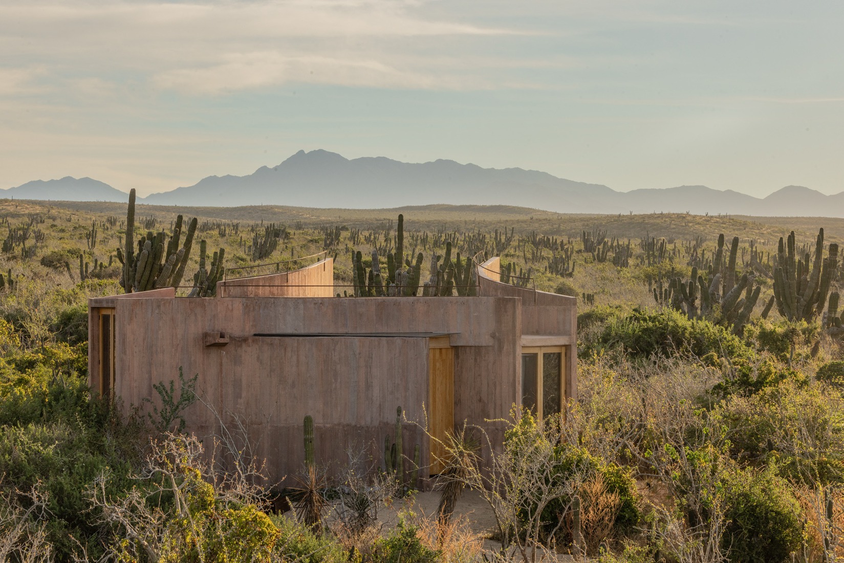 Nereidas Homes by Studio Font. Photograph by Albers Studio.