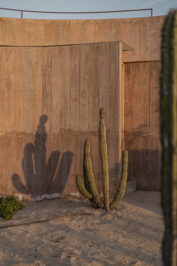 Nereidas Homes by Studio Font. Photograph by Albers Studio.