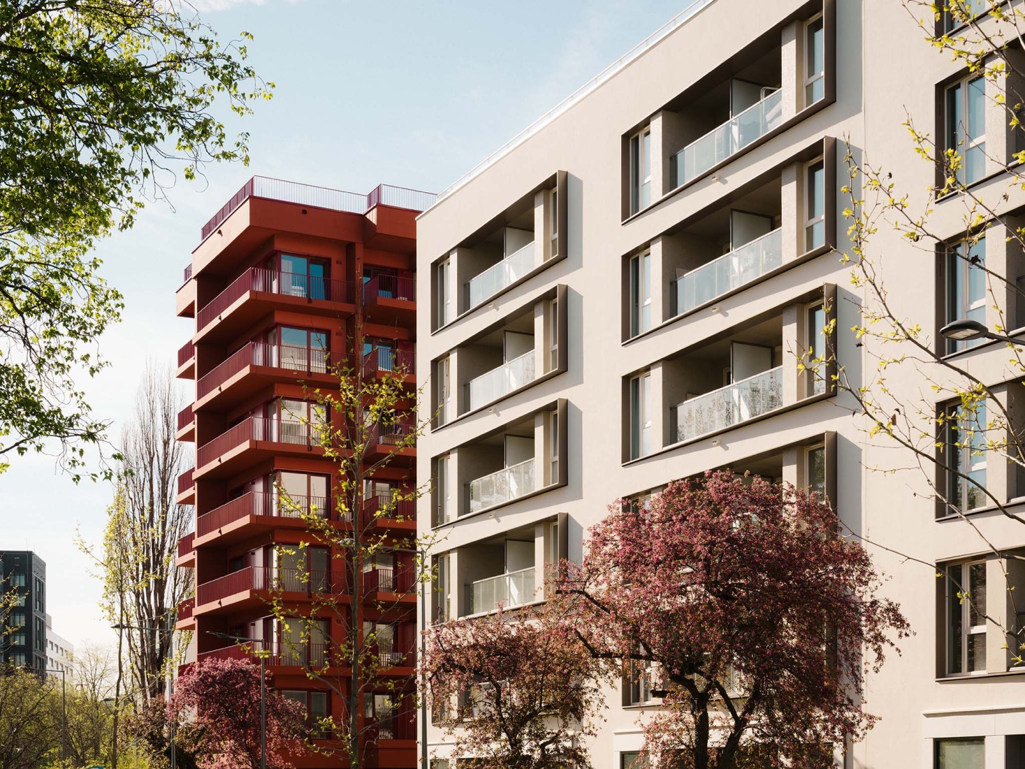 Mokotów moderno por BBGK Architekci. Fotografía por Nate Cook.