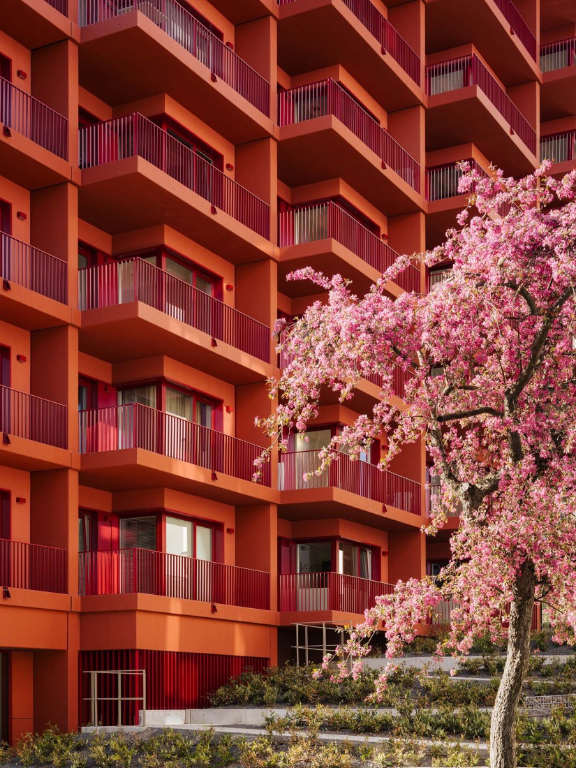 Mokotów moderno por BBGK Architekci. Fotografía por Nate Cook.