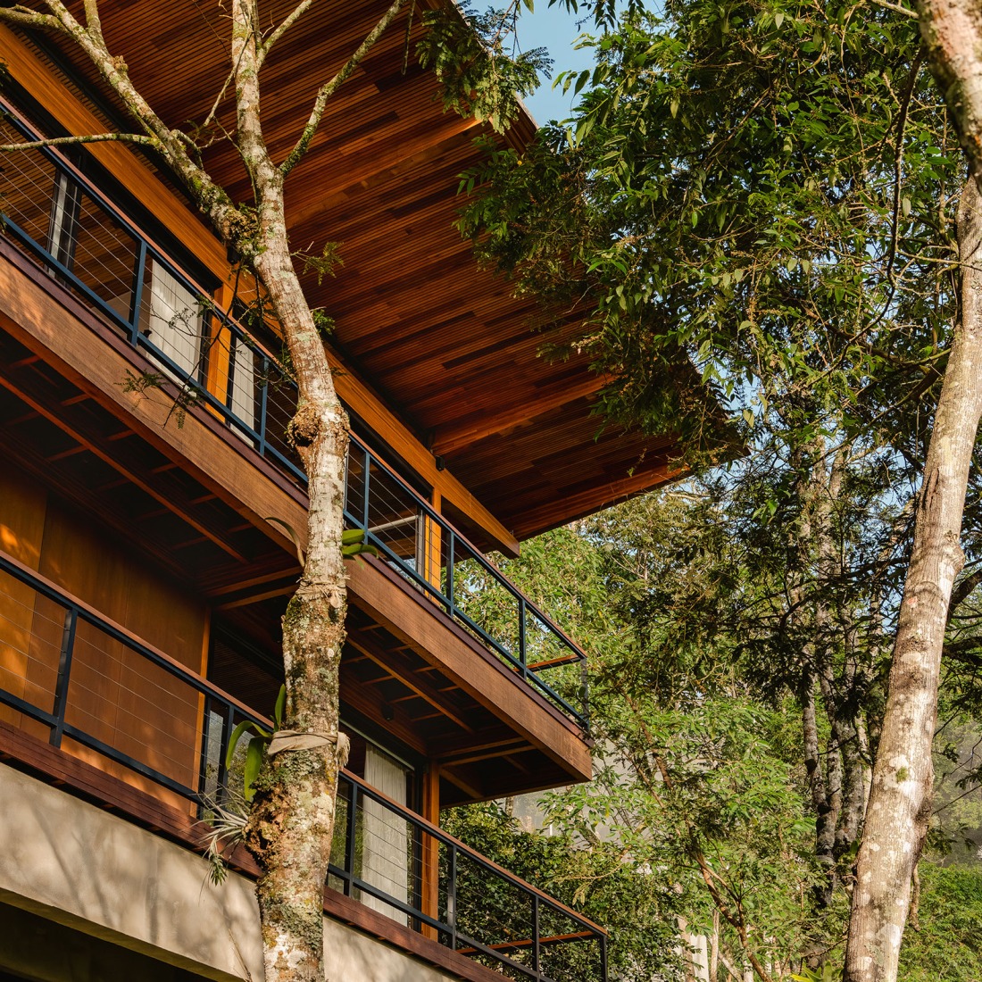 Pinhal House by Cornetta Arquitetura. Photography by Manuel Sá.