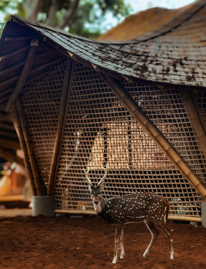 Maestro Ilaiyaraaja Music Center by Ekarth Studio. Photograph by Ekarth Studio