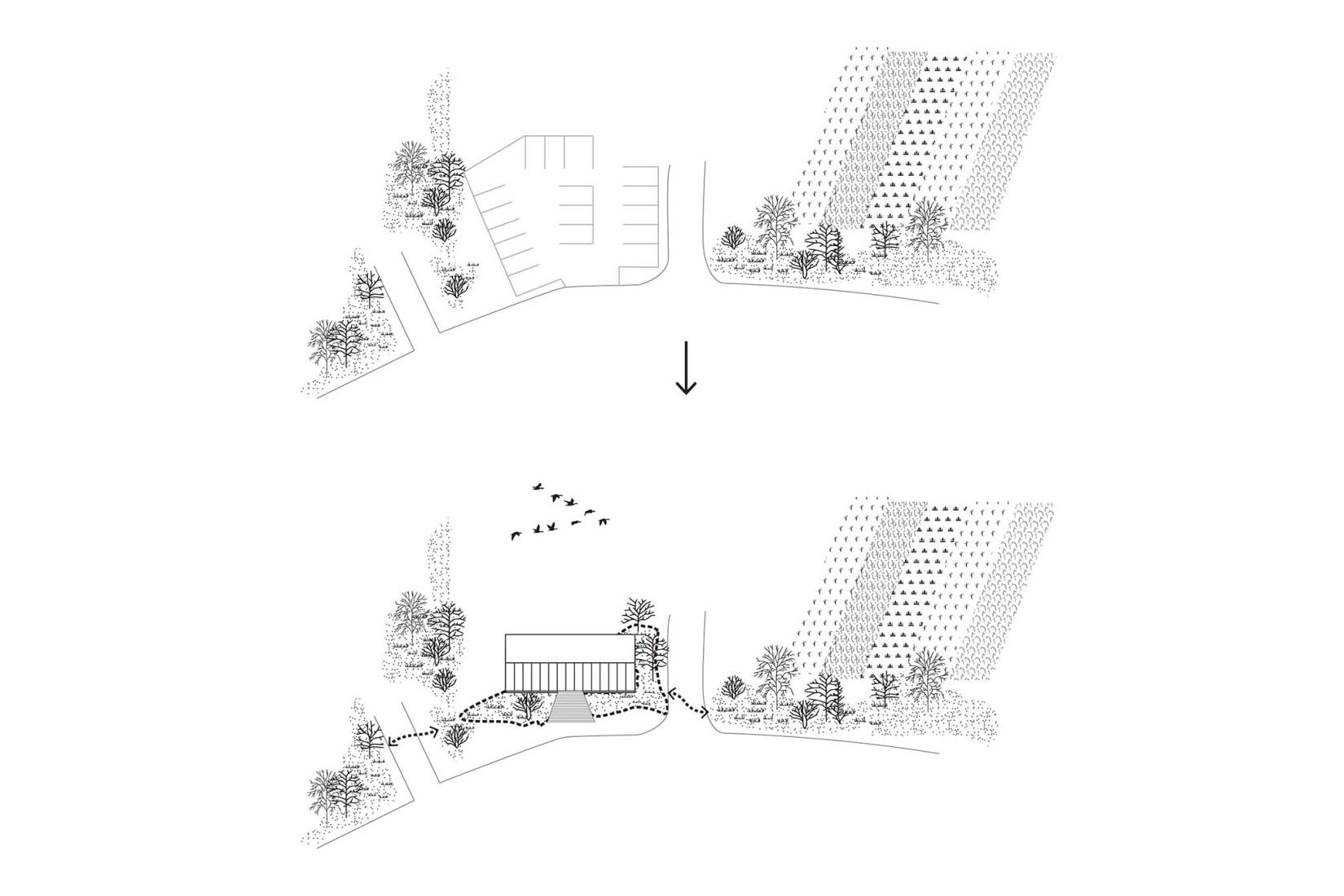 Diagram. La Madeleine After-School Care Service by Fréquence Architecture.