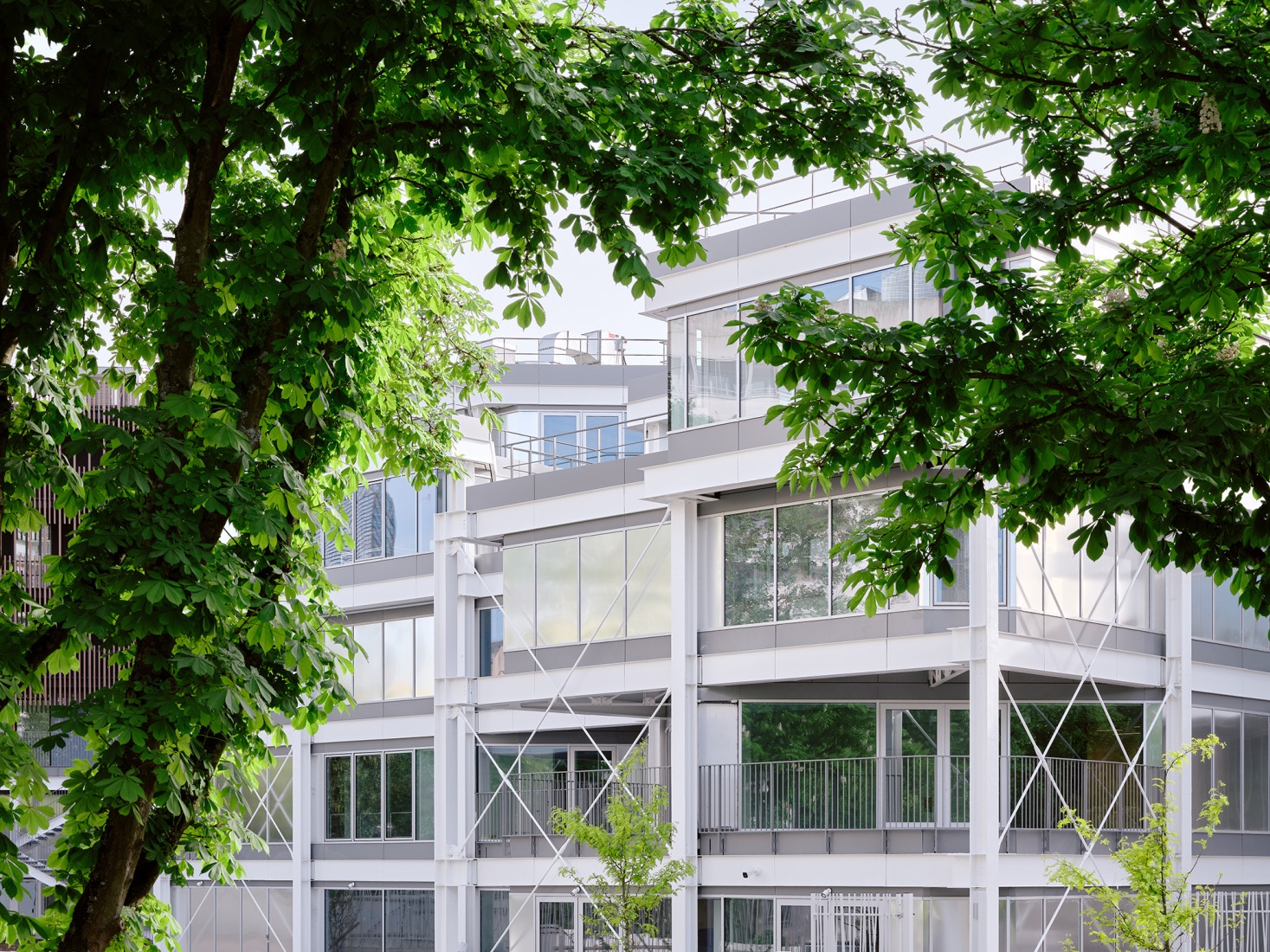 Campus du Parc by It's architecture. Photograph by Francesca Iove.