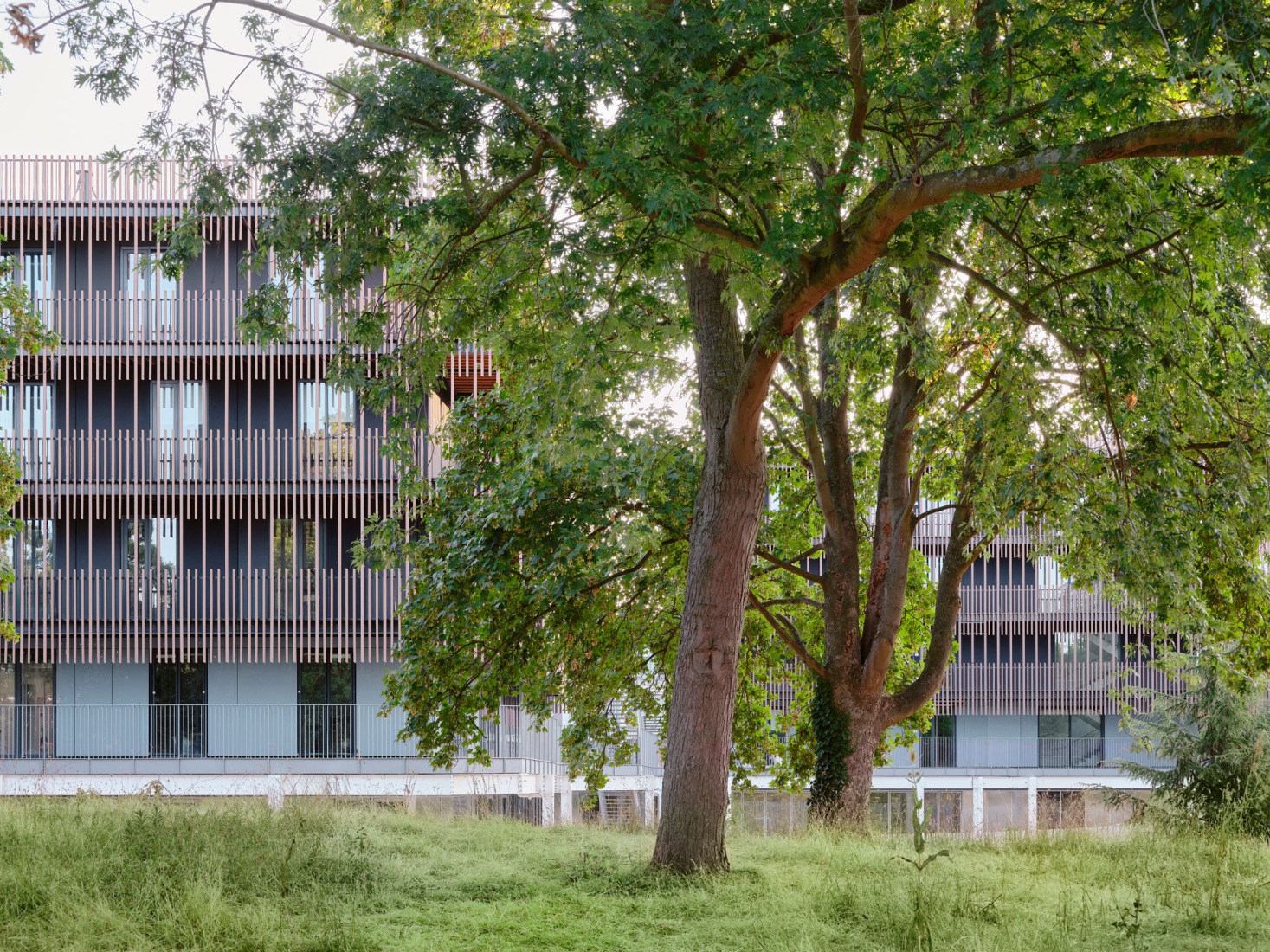 Campus du Parc by It's architecture. Photograph by Francesca Iove.
