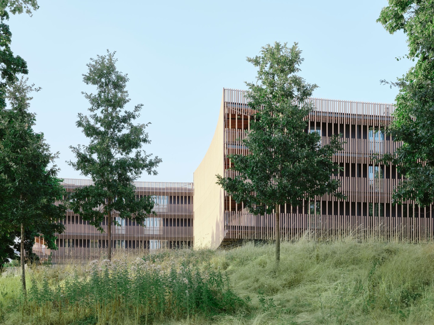 Campus du Parc by It's architecture. Photograph by Francesca Iove.