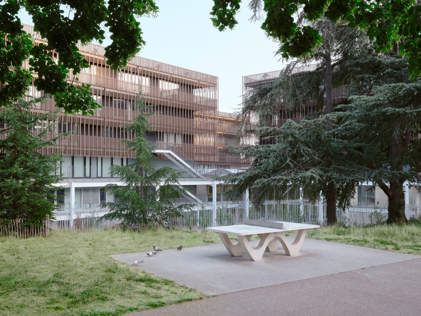 Campus du Parc by It's architecture. Photograph by Francesca Iove.