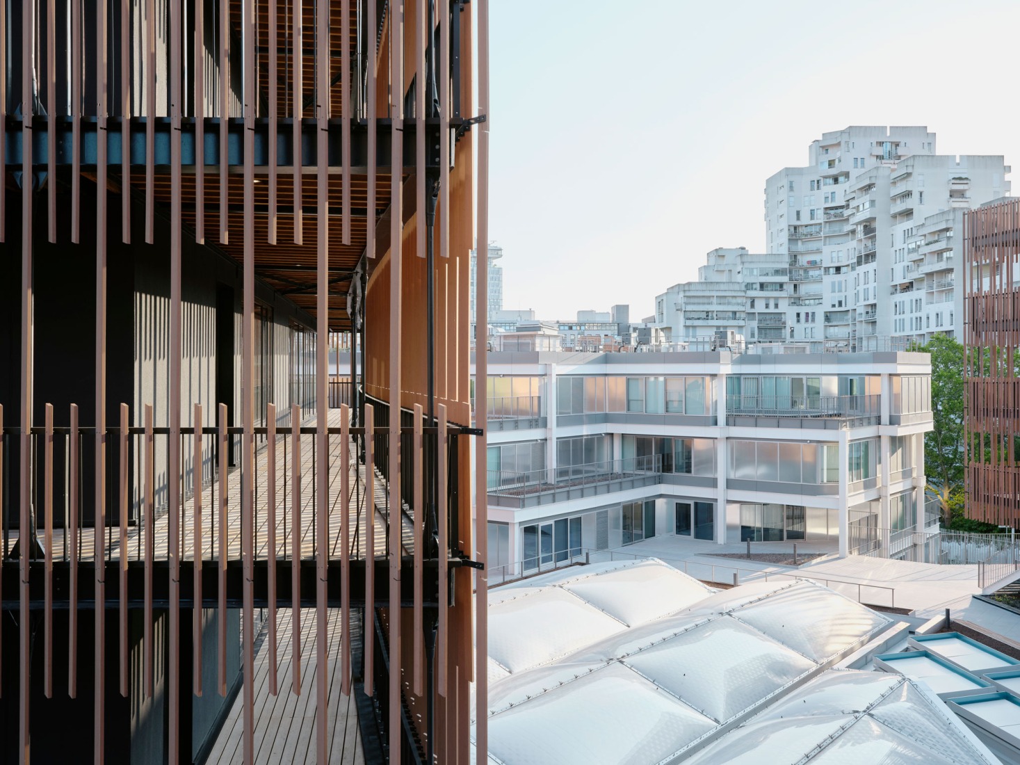 Campus du Parc by It's architecture. Photograph by Francesca Iove.