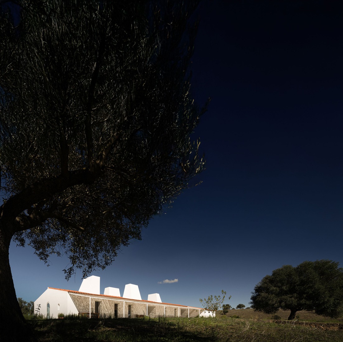 Monte Alvo House by NOZ Arquitectura. Photograph by Fernando Guerra.