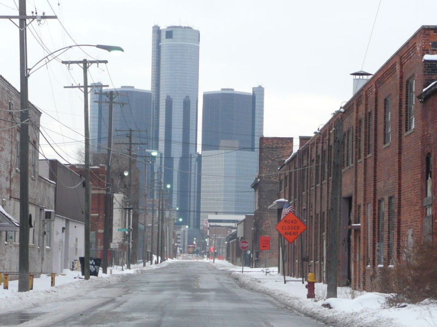 DETROIT WILD CITY