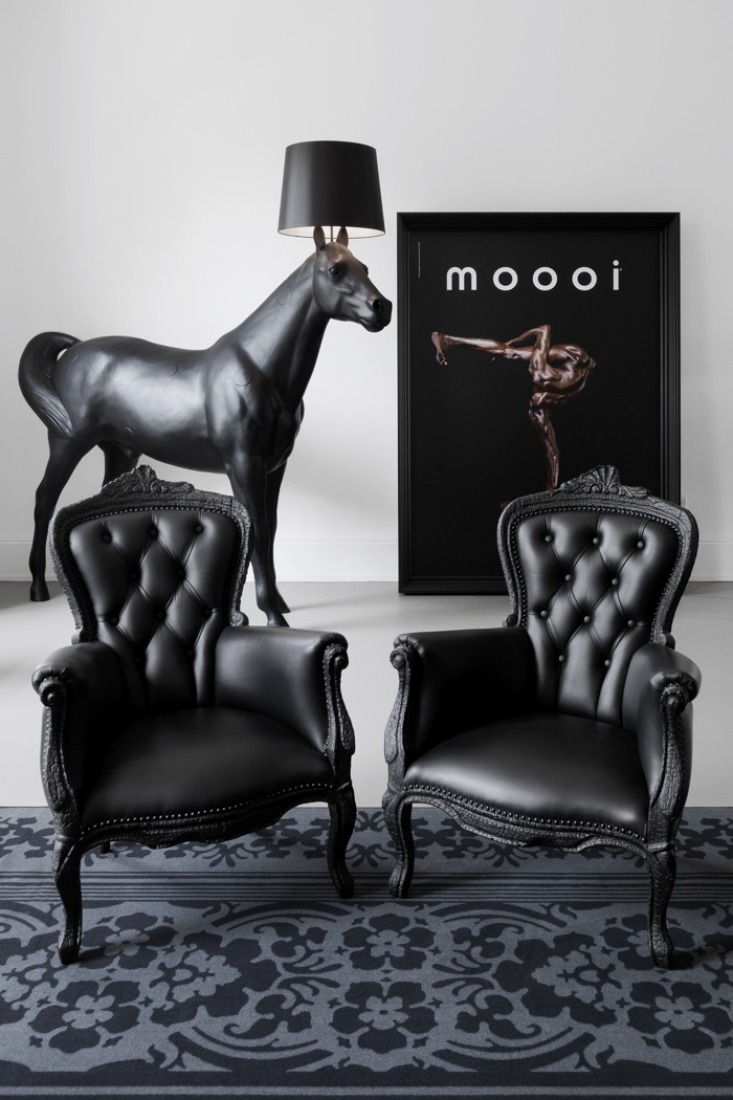 Moooi
