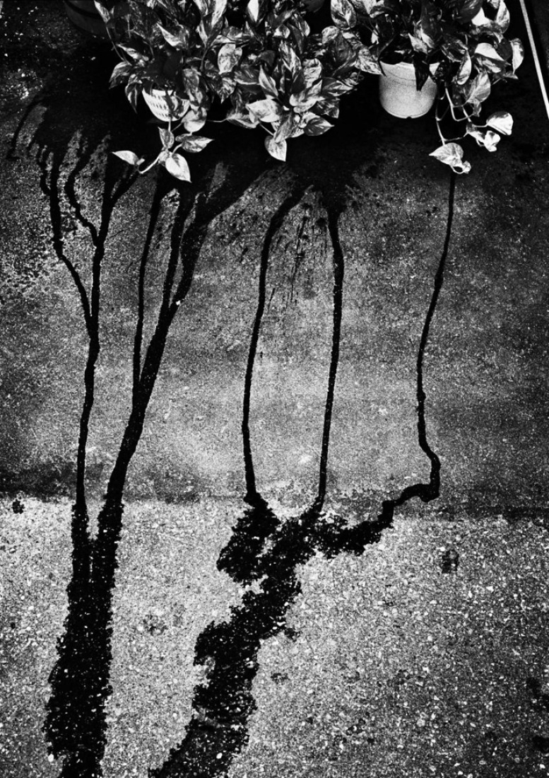 Tokyo 55. © Jacob Aue Sobol.