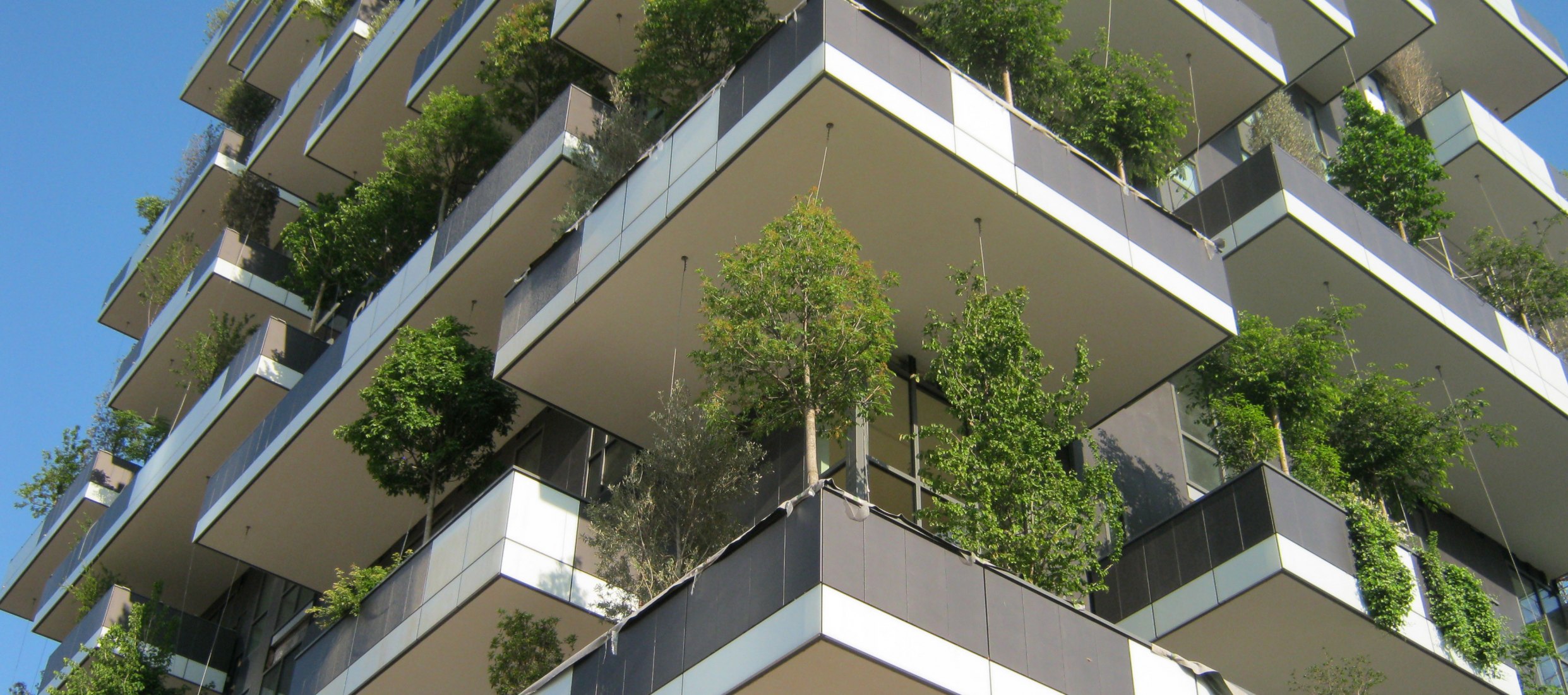 Milan plants a new forest in the sky. By Boeri Studio
