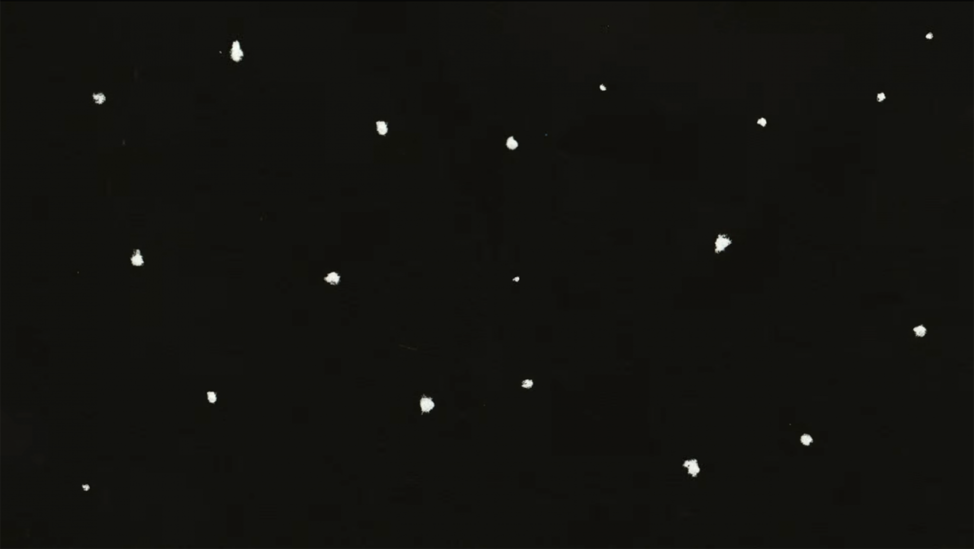 'Meanwhile In Rio' by Jacob Perlmutter, animated by George Wheeler ...