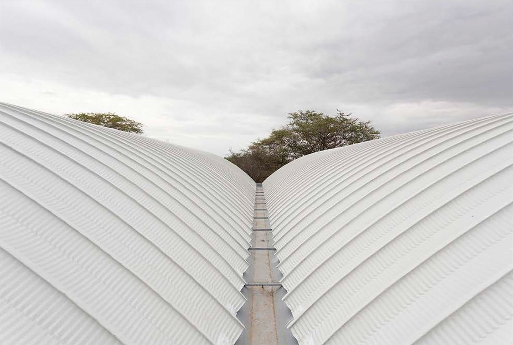 Taller de arquitectura en el desierto | Sobre Arquitectura y más