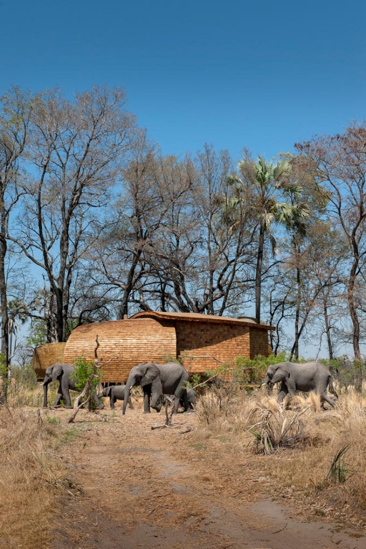 Exterior view of the lodge of the Sandibe Okavango Safari in Botswana, by Nicholas Plewman Architects and Michaelis Boyd Architects. Photography © Dook. 
