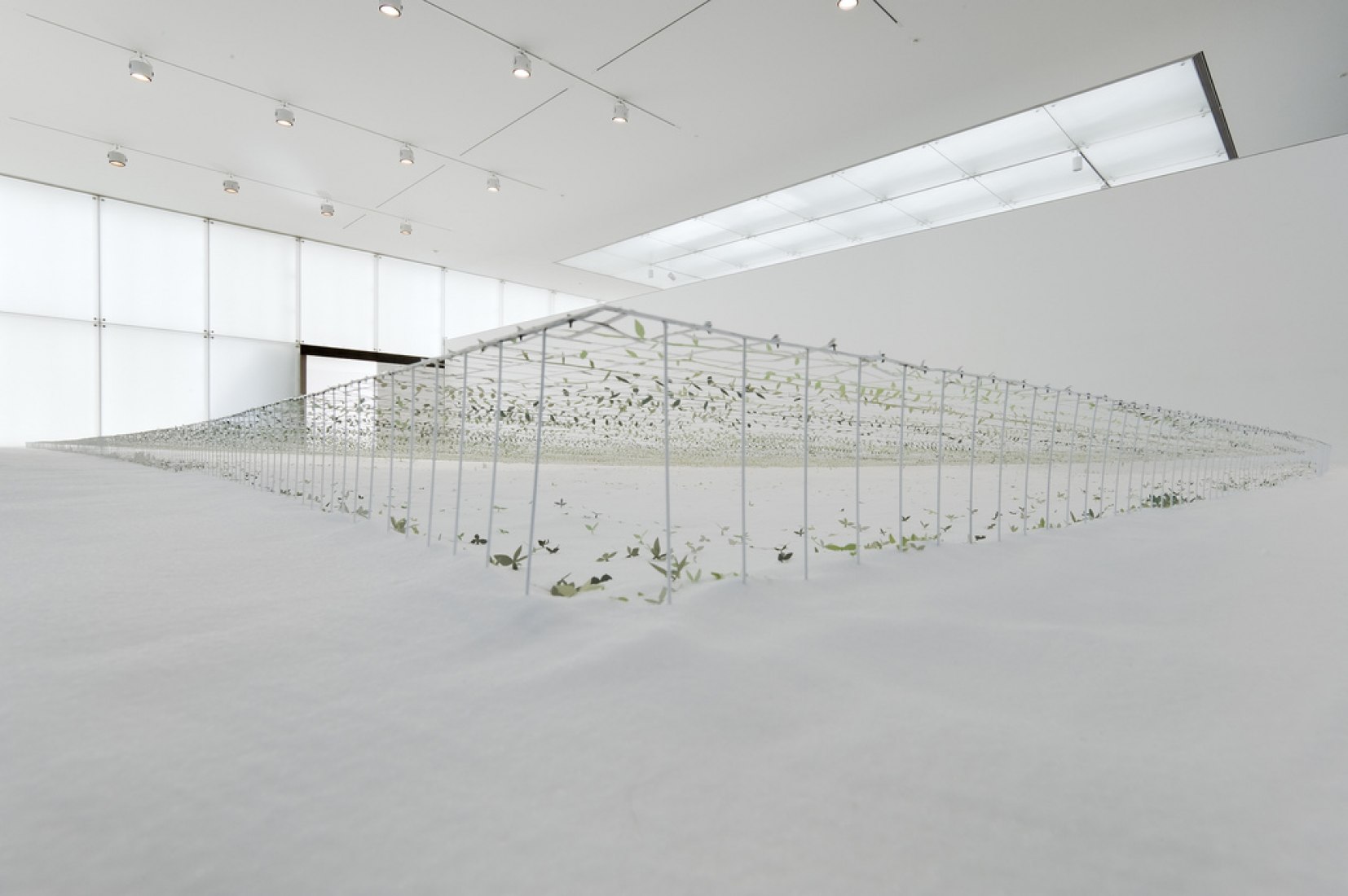 JUNYA ISHIGAMI. How small? How vast? How archItecture grows? | The 