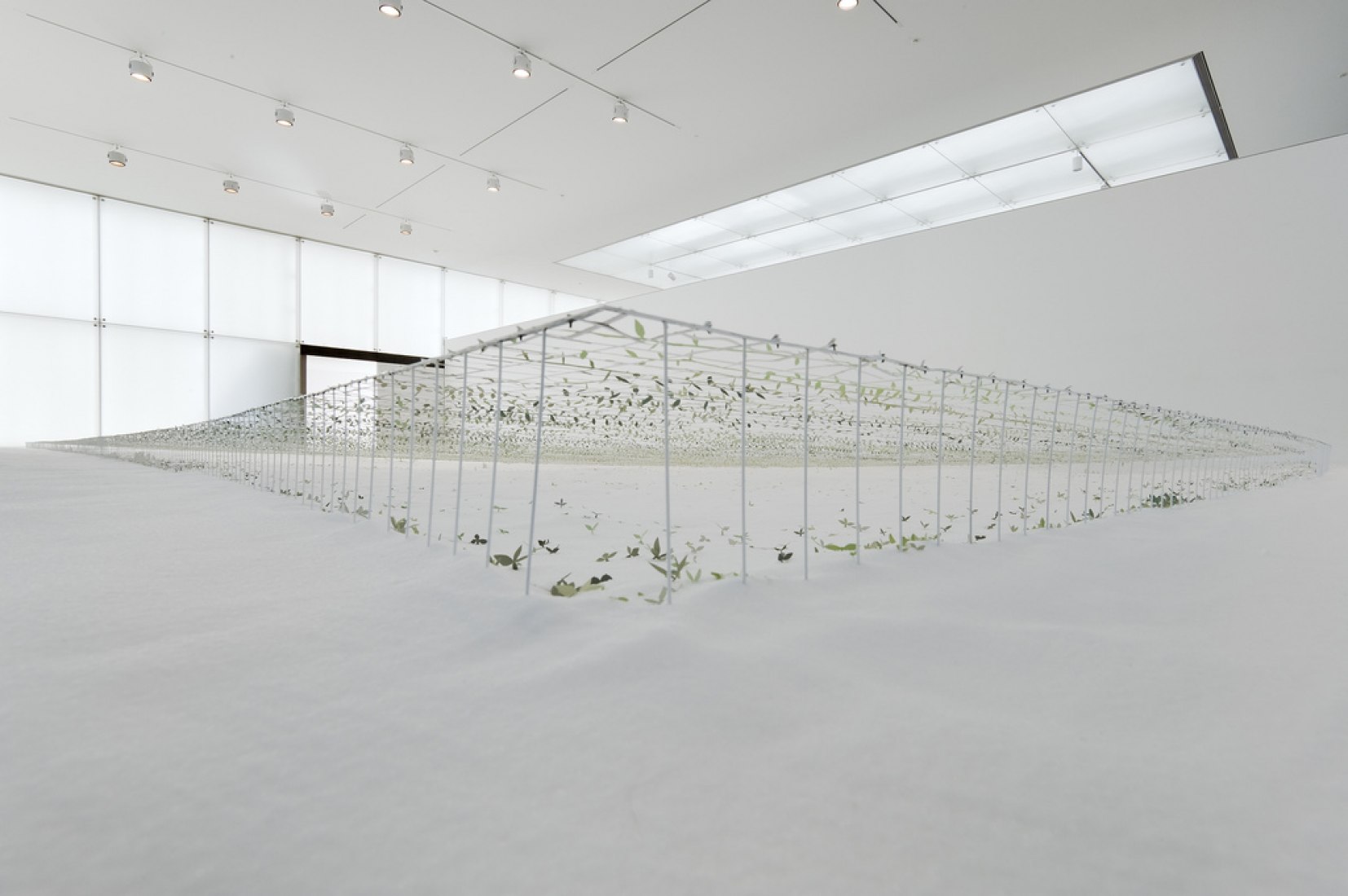 Junya Ishigami, Another scale of architecture - horizon, Toyota Municipal Museum of Art, 2010., courtesy Gallery Koyanagi © junya.ishigami+associates, photograph Yasushi Ichikawa.