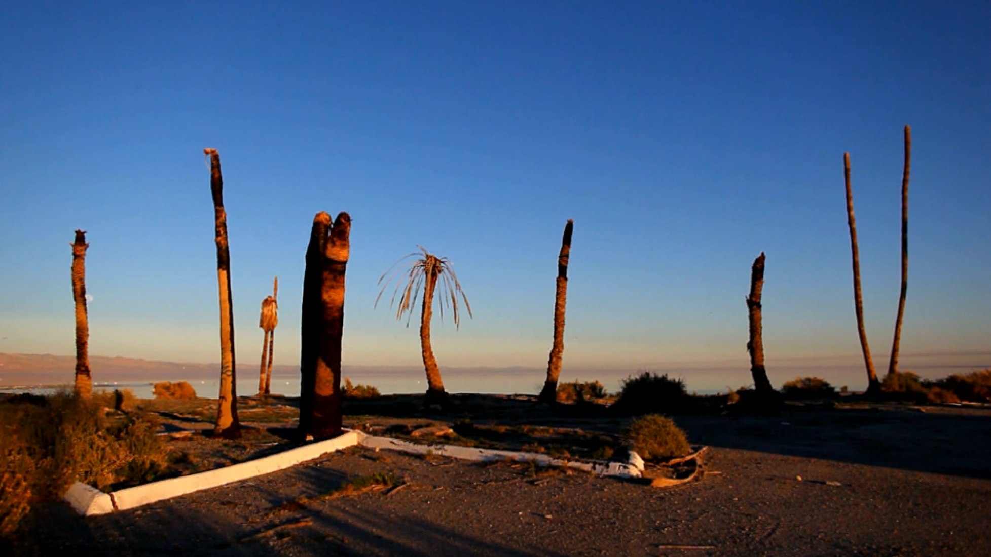 America #39 s Dead Sea The Strength of Architecture From 1998