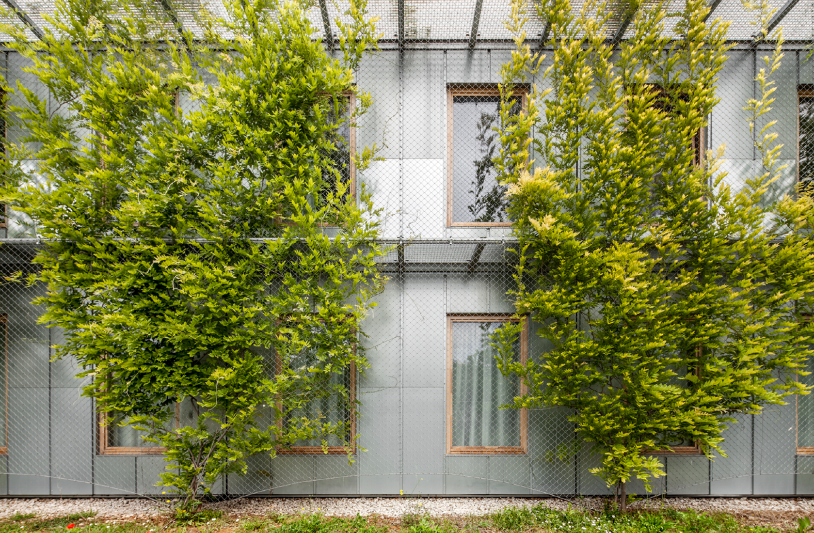 Alzado exterior, detalle. Viviendas universitarias en Sant Cugat del Vallès, por dataAE + HARQUITECTES. Fotografía © Adrià Goula. 