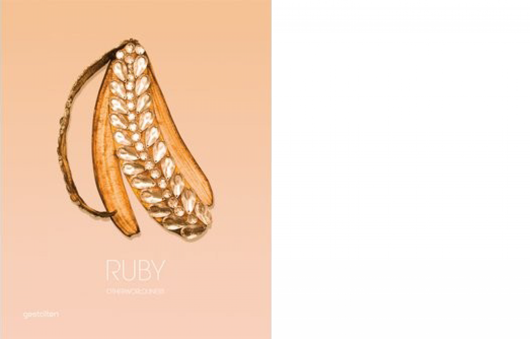 Cover Ruby book.