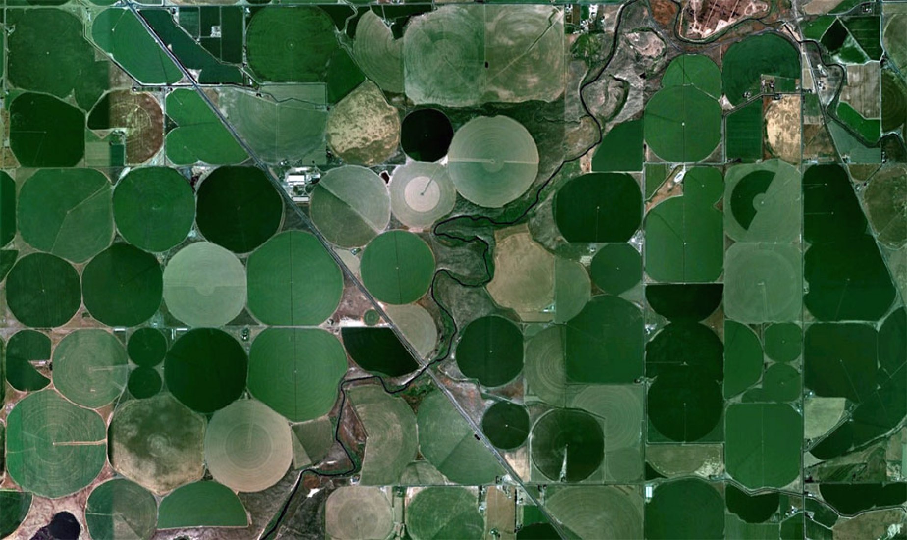 Circular fields near a lake, watered with center-pivot irrigation. Image is 9km (5.5 mi) wide. (© Google, DigitalGlobe, USGS)