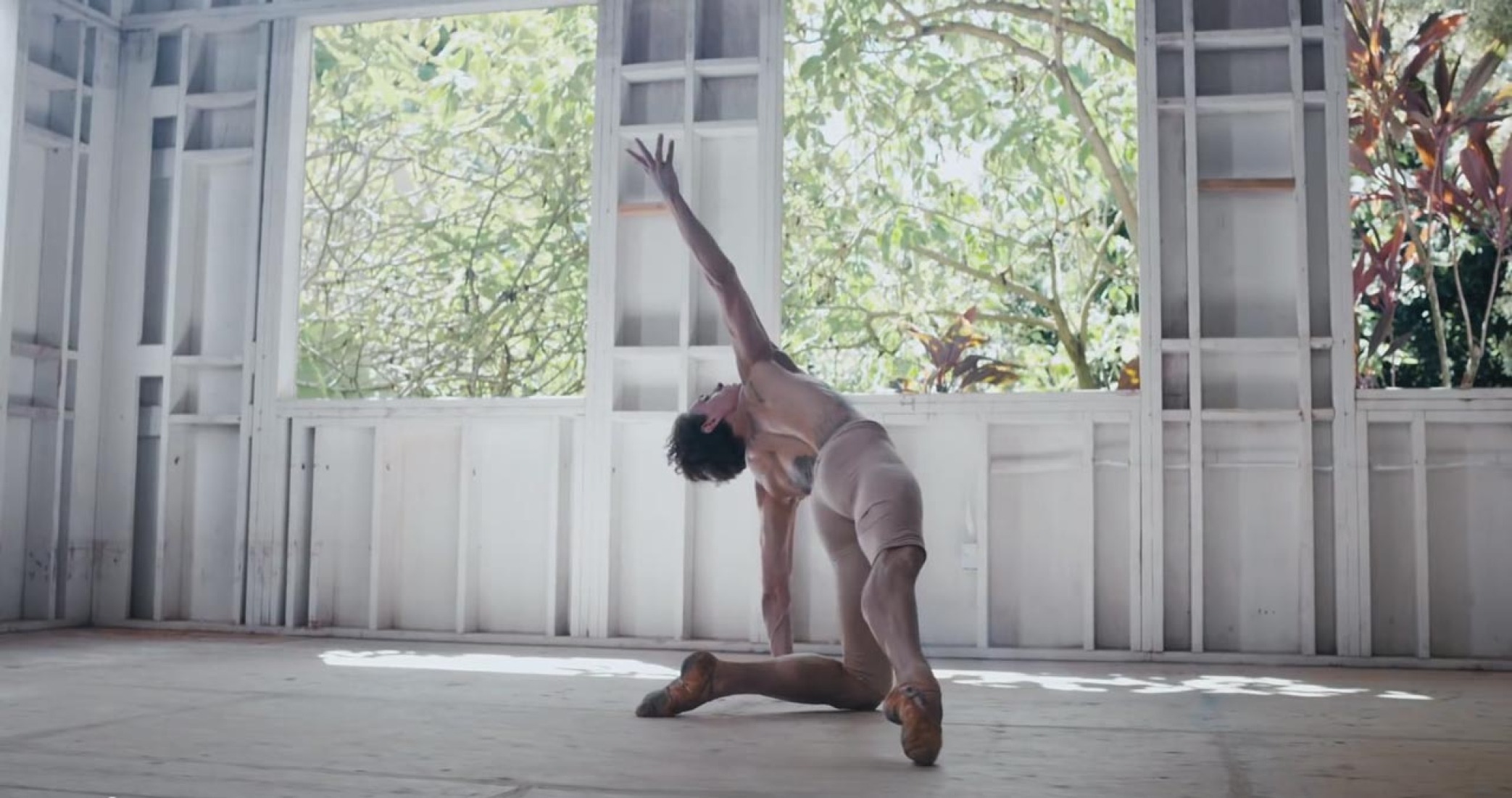 Sergei Polunin, 
