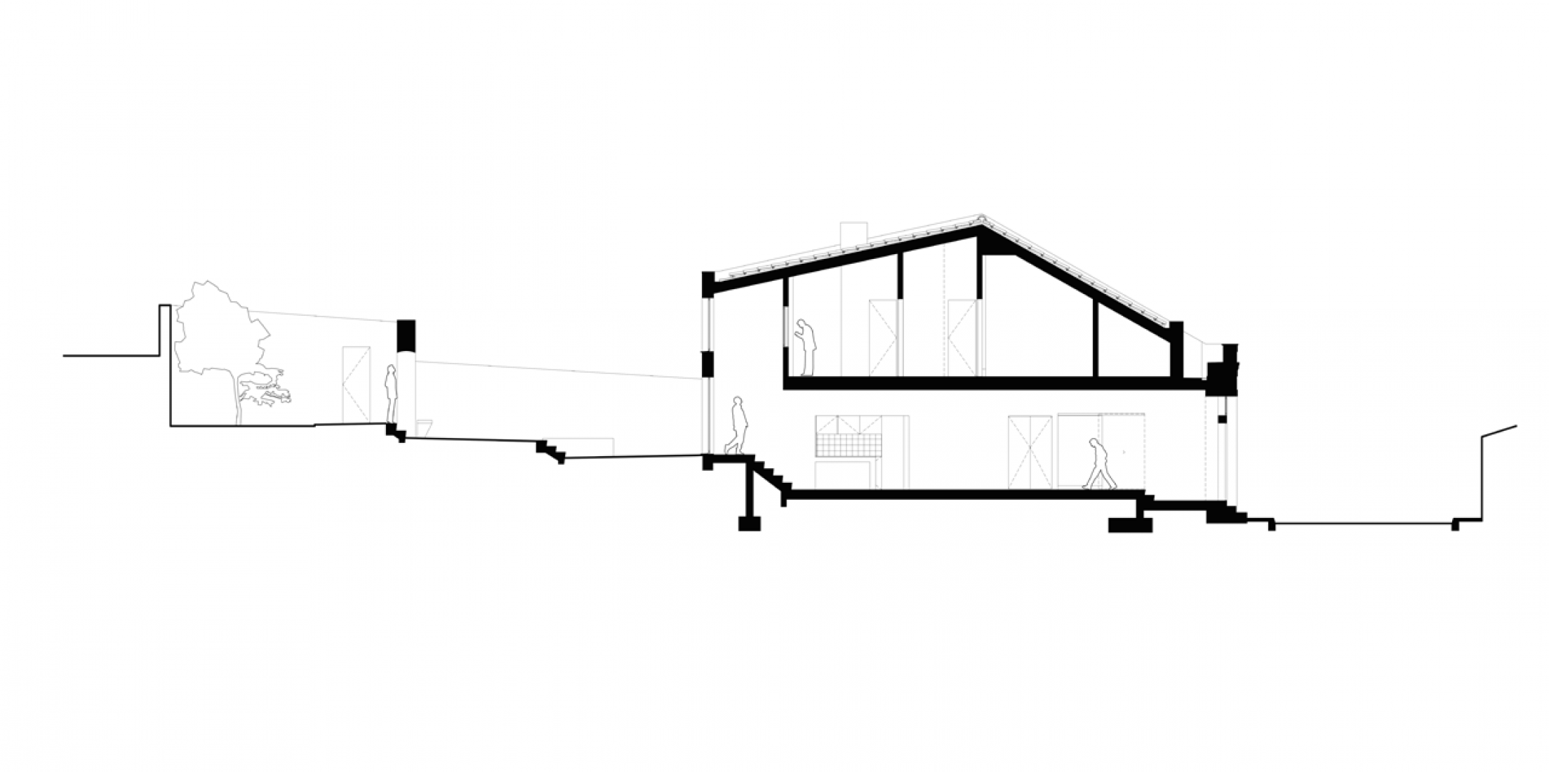 Longitudinal section. Terras 8 house by Colectivo CAIS.