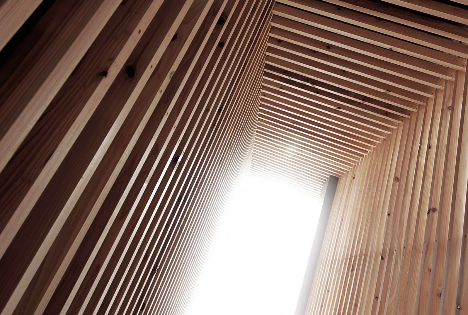 Vista interior. Casa N STRIPS por Jun Murata. Fotografía © Jun Murata.