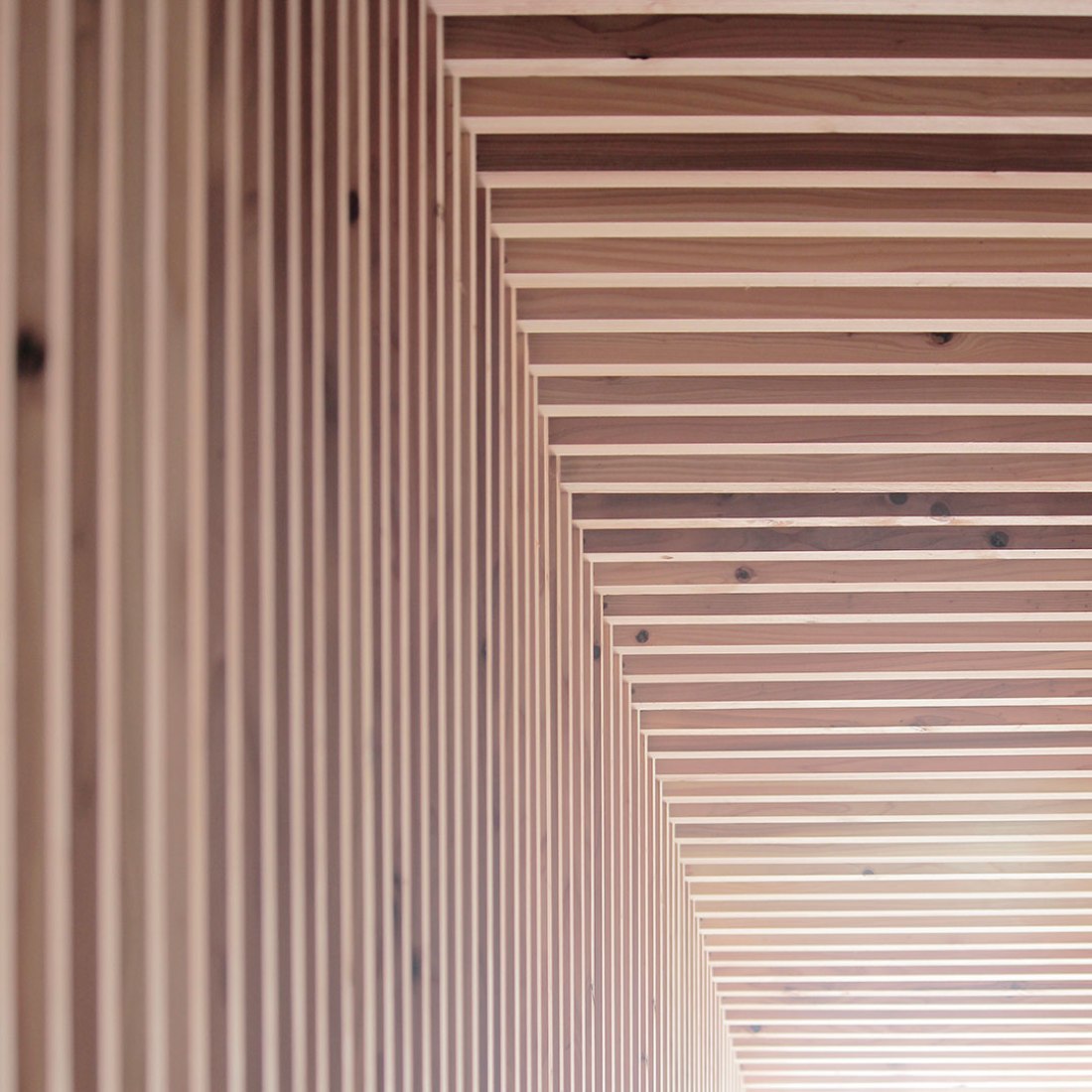 Vista interior. Casa N STRIPS por Jun Murata. Fotografía © Jun Murata.
