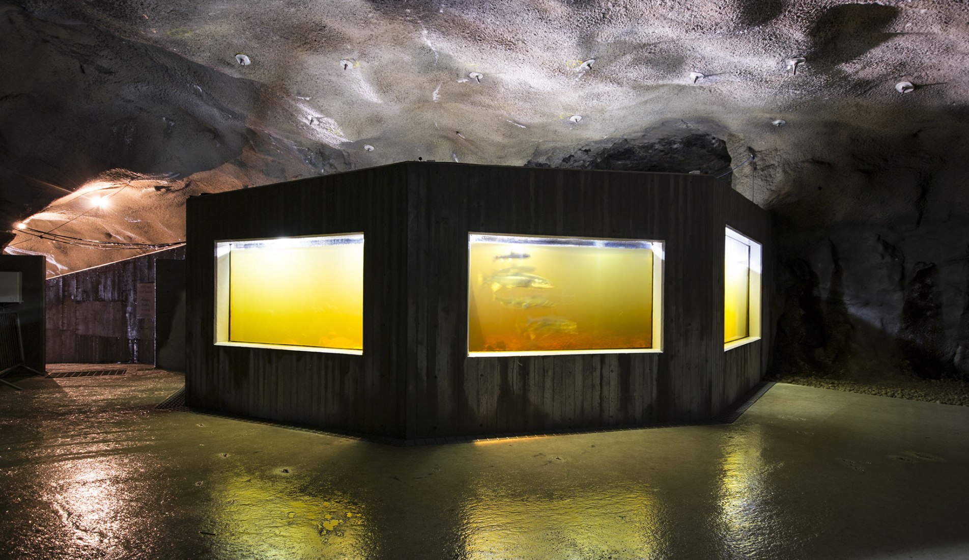 Indoors view. Salmon ladder at the Kvasfossen waterfall. Photograph © Tom Auger.
