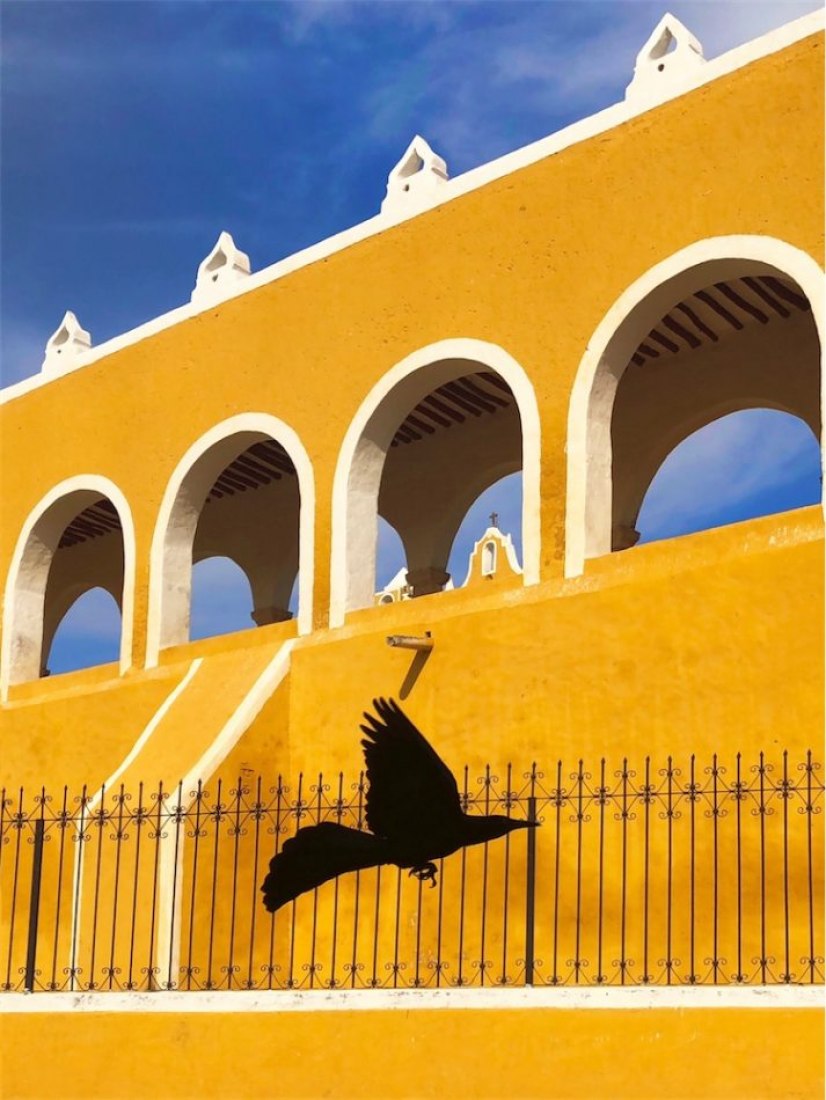 Antonia Sisco Andritch. Honorable Mentions. Architecture